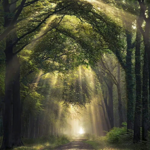 只让玩菊门的女领导小说
